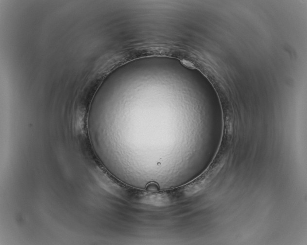 X0000111920185200908031212