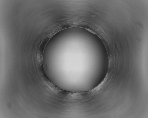 X0000111920186200908031212