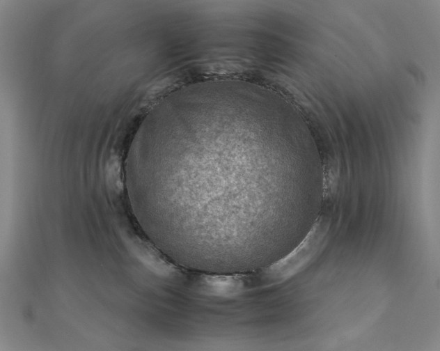 X0000111920187200908031212