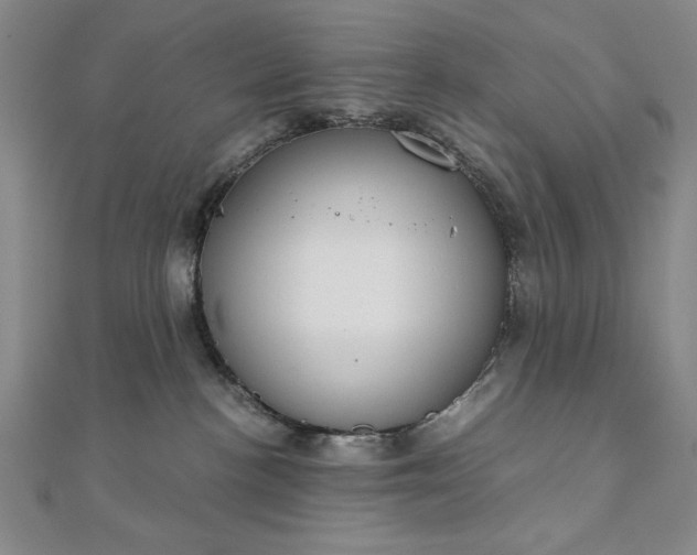 X0000111920188200908031212