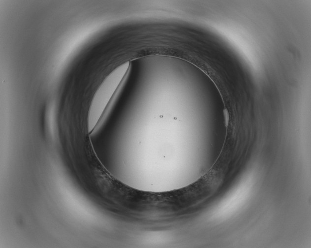 X0000111920189200908031212