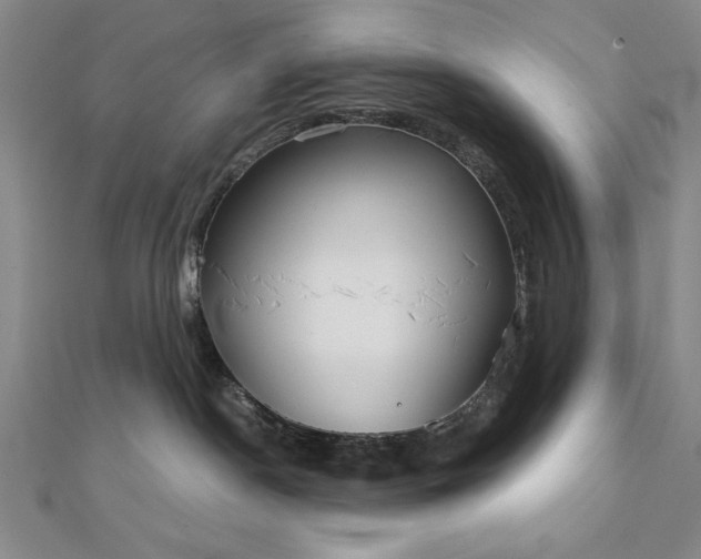 X0000111920190200908031212