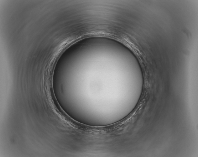 X0000111920193200908031212