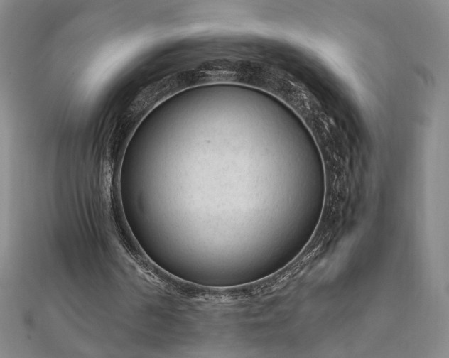 X0000111920194200908031212