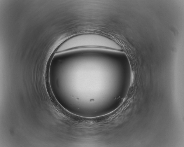 X0000111920195200908031212