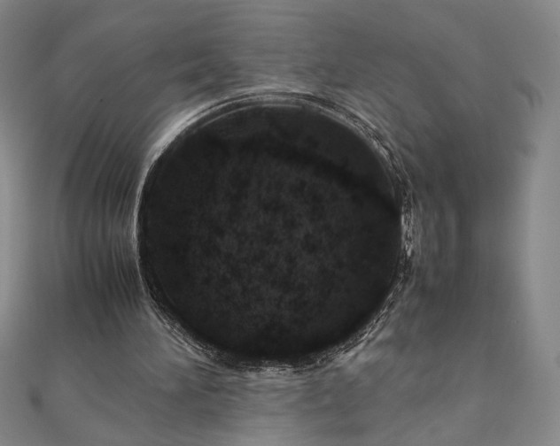 X0000111920196200908031212