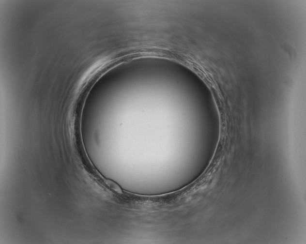 X0000111920197200908031212