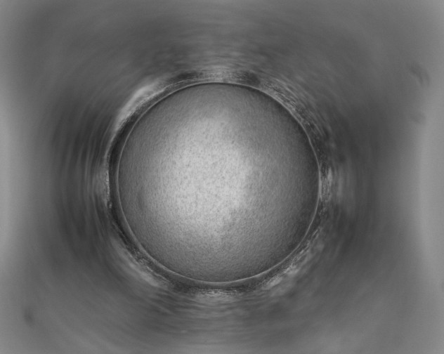 X0000111920198200908031212