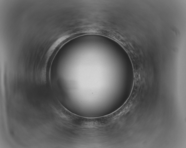 X0000111920200200908031211