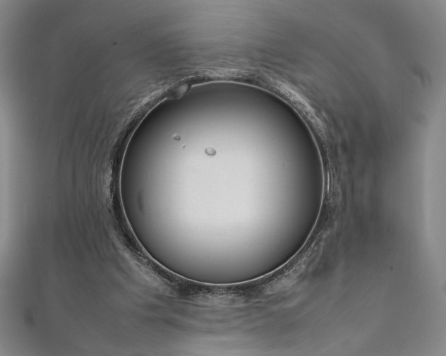 X0000111920201200908031211