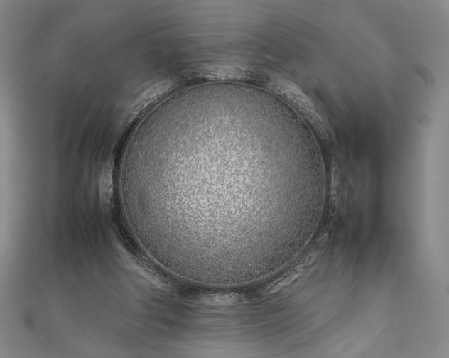 X0000111920202200908031211