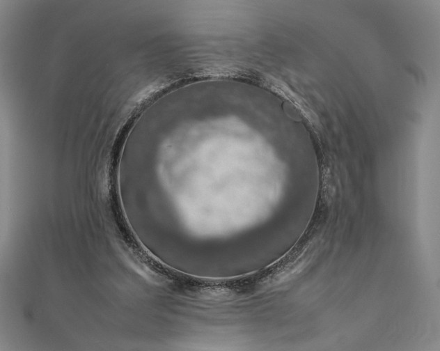 X0000111920203200908031211