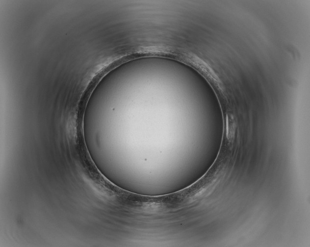 X0000111920204200908031211