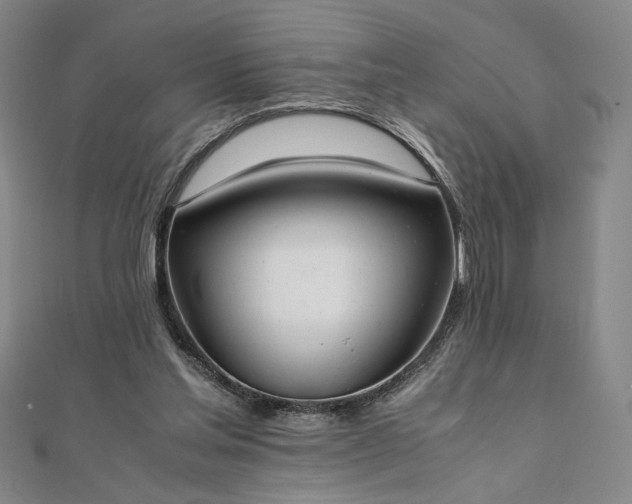 X0000111920205200908031211