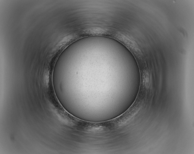 X0000111920206200908031211