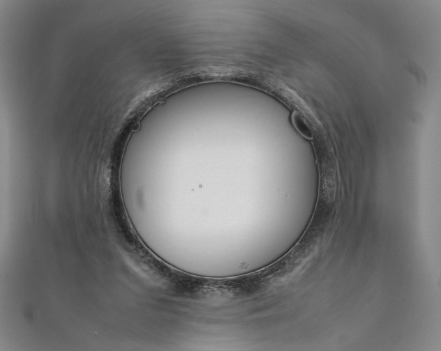 X0000111920207200908031211