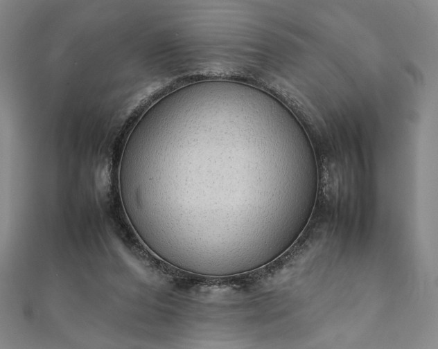 X0000111920208200908031211