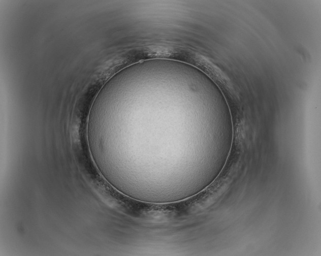 X0000111920209200908031211