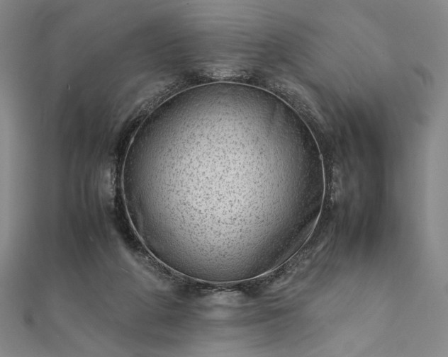 X0000111920210200908031211