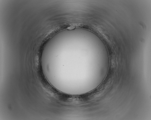 X0000111920211200908031211