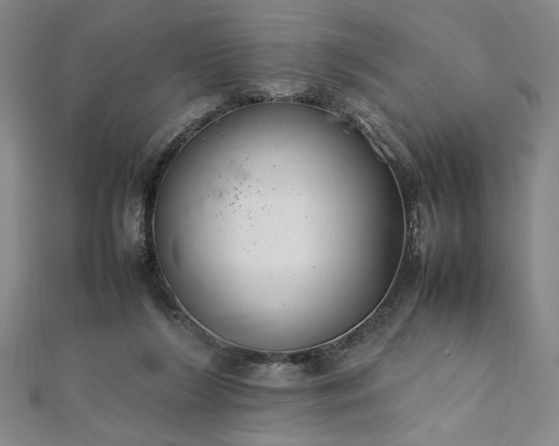 X0000111920212200908031211