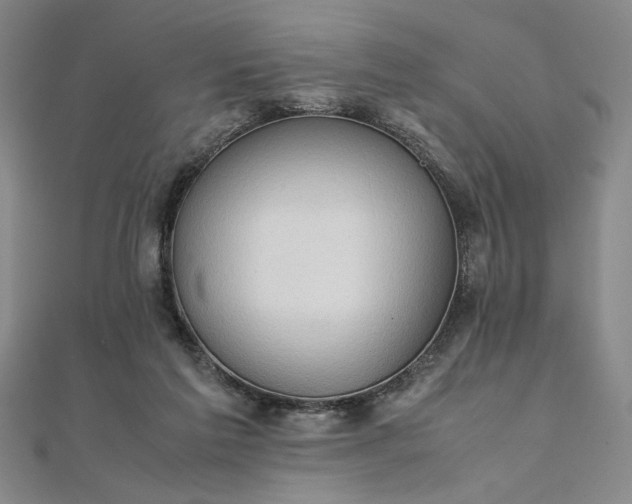 X0000111920213200908031211