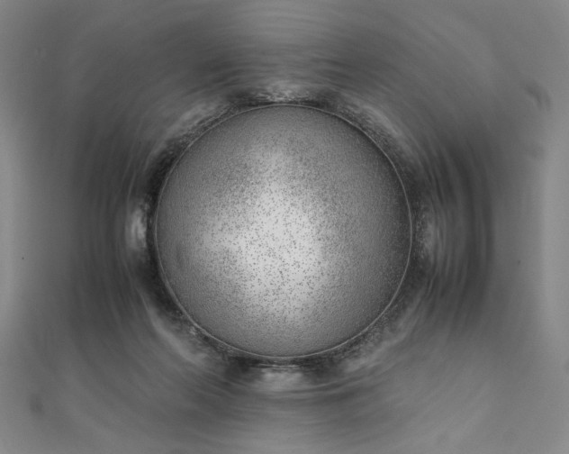 X0000111920214200908031211