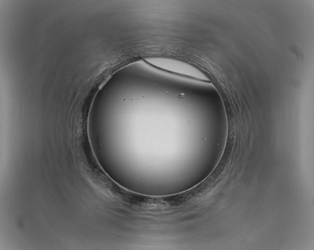 X0000111920215200908031211