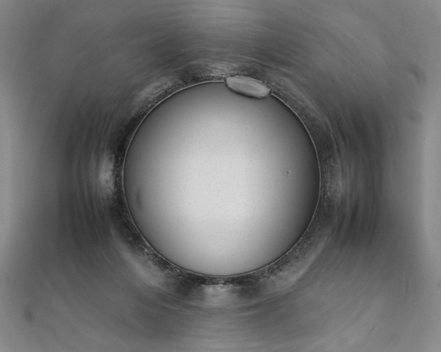 X0000111920216200908031211