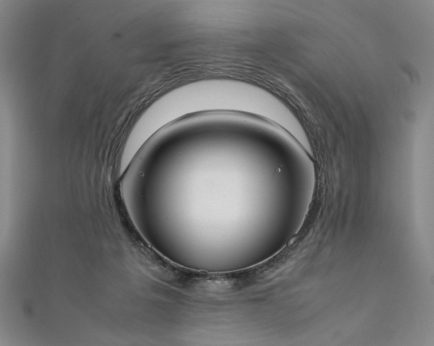 X0000111920217200908031211