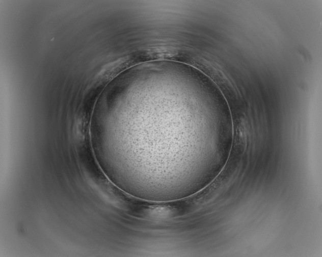 X0000111920218200908031211