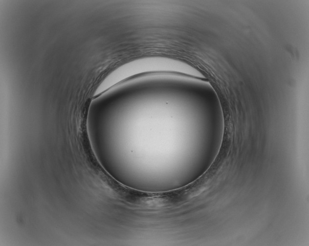 X0000111920219200908031211