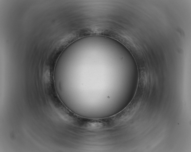 X0000111920220200908031211