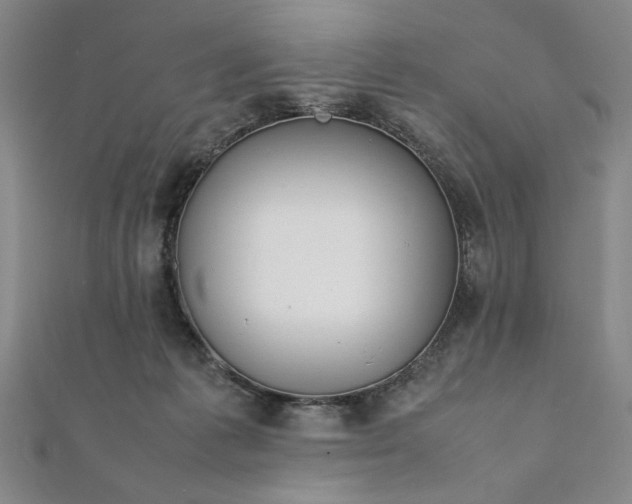 X0000111920221200908031211