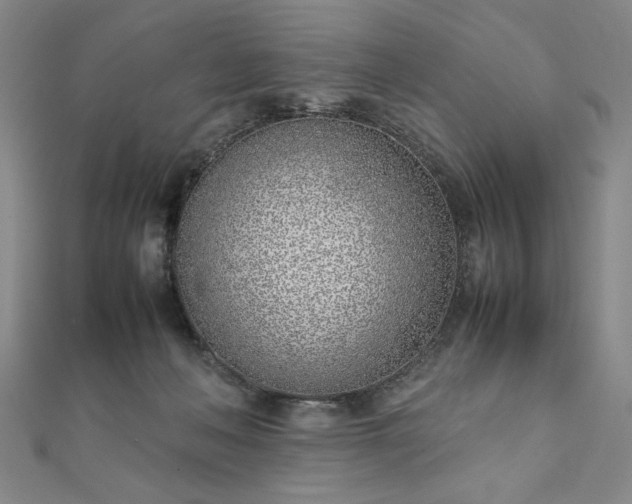 X0000111920222200908031211