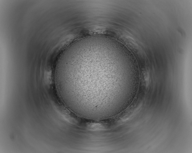 X0000111920224200908031211