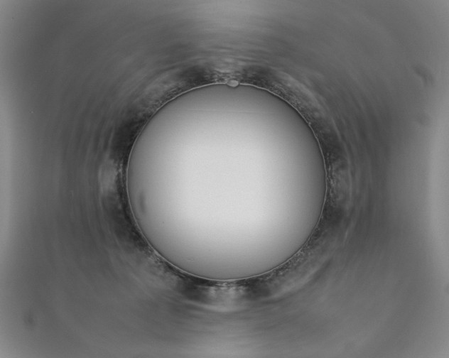 X0000111920225200908031211