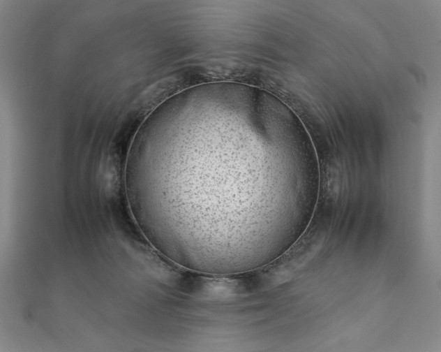 X0000111920226200908031211