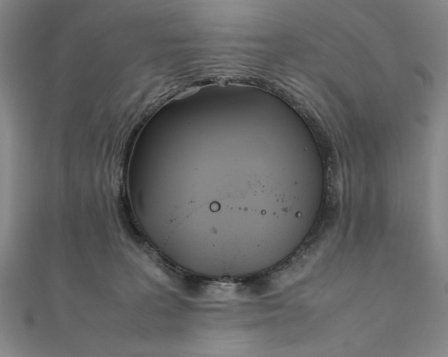 X0000111920227200908031211