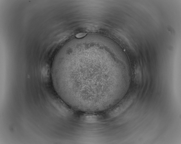 X0000111920228200908031211