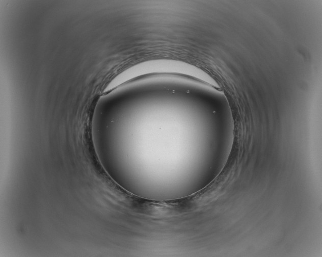 X0000111920229200908031211