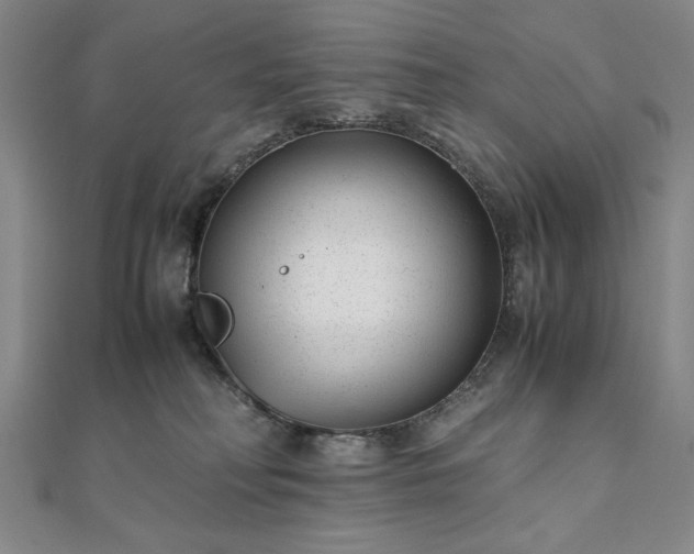 X0000111920230200908031211