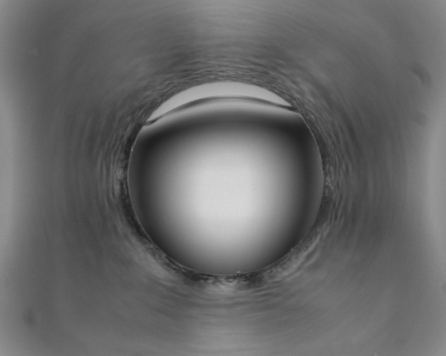 X0000111920235200908031211