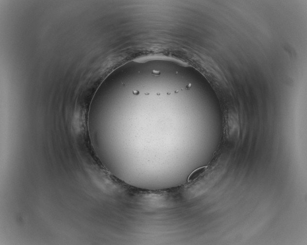 X0000111920236200908031211