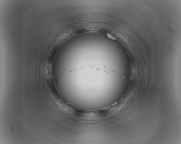 X0000111920237200908031211