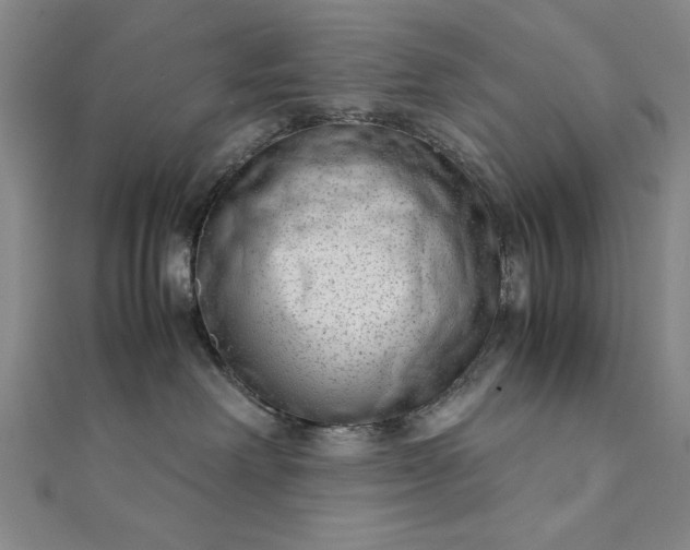 X0000111920238200908031211