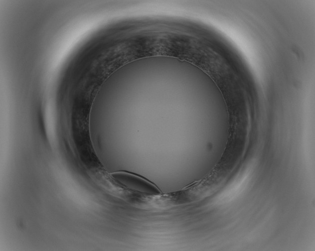 X0000111920239200908031211