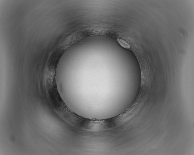 X0000111920240200908031211