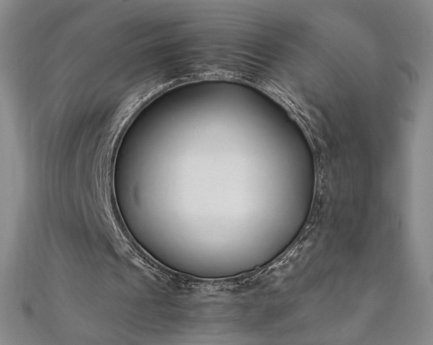 X0000111920241200908031210