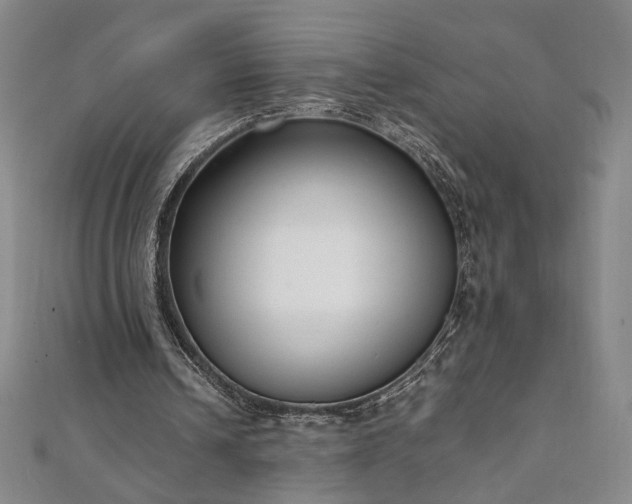 X0000111920242200908031210